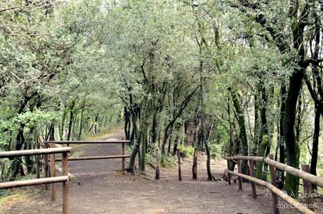 De Ruta Volcánica por la Garrotxa