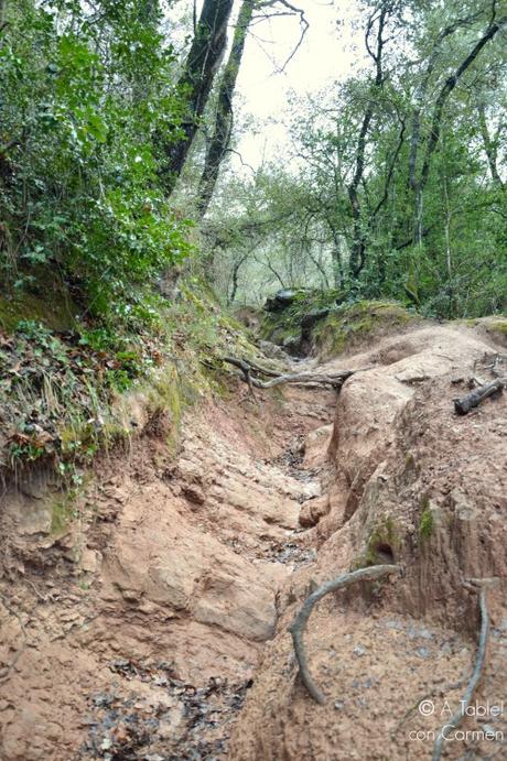 De Ruta Volcánica por la Garrotxa