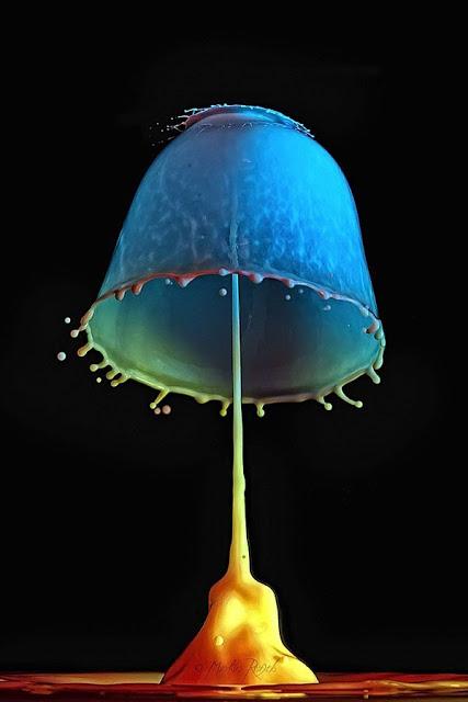 Markus Reugels: Arte líquido