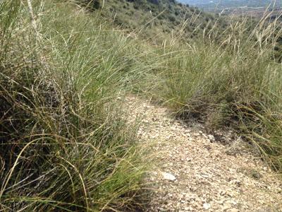 Caminando por la sierra de Crevillente: La ruta de Jaume El Barbut