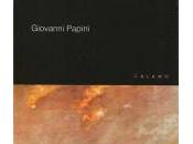 Daniel Domscheit-Berg: Dentro WikiLeaks