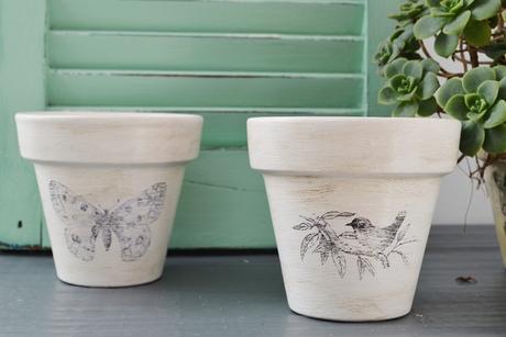 Objetos pequeños, Grandes transformaciones II