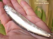 Video receta: "cazuela boquerones ajitos perejil"