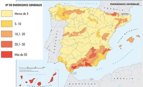 ENDEMISMOS DE LA FLORA EN LA PENÍNSULA IBÉRICA