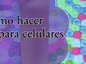 Como hacer fundas para celulares
