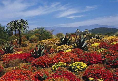 ¡Recorre Los Jardines Más Coloridos Del Mundo! Jardines