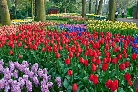 ¡Recorre Los Jardines Más Coloridos Del Mundo! Jardines