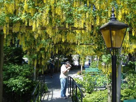 ¡Recorre Los Jardines Más Coloridos Del Mundo! Jardines