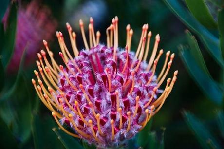 ¡Recorre Los Jardines Más Coloridos Del Mundo! Jardines