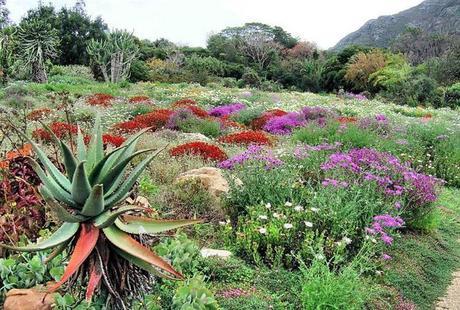 ¡Recorre Los Jardines Más Coloridos Del Mundo! Jardines