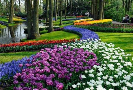 ¡Recorre Los Jardines Más Coloridos Del Mundo! Jardines