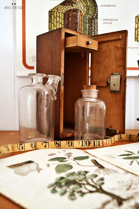 Decorar con objetos antiguos de laboratorio y botánica también son una buena opción para dar personalidad a nuestra casa
