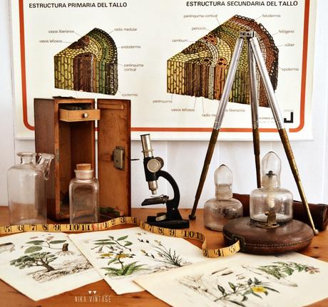 Decorar con objetos antiguos de laboratorio y botánica también son una buena opción para dar personalidad a nuestra casa
