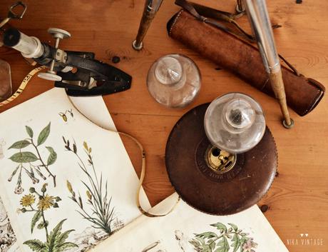 Decorar con objetos antiguos de laboratorio y botánica también son una buena opción para dar personalidad a nuestra casa