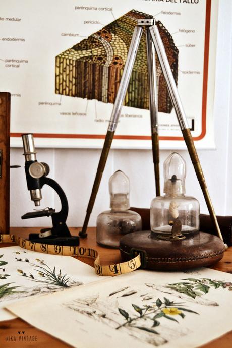 Decorar con objetos antiguos de laboratorio y botánica también son una buena opción para dar personalidad a nuestra casa