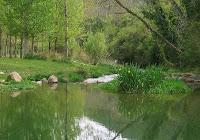 La Comunidad Valenciana Paso a Paso.- De la fuente Randurías, Jérica, a las Cuevas y paraje del Sargal, Viver, siguiendo el río Palancia