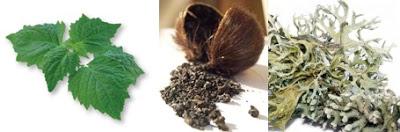 ABRIL HUELE A… Yves Rocher, Comme une Evidence.