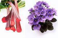 ABRIL HUELE A… Yves Rocher, Comme une Evidence.