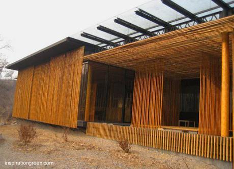 Ventajas del bambú para construir casas.