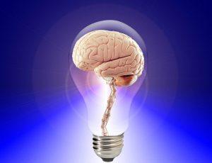 brain 20424 960 720 300x230 Como desarrollar un pensamiento creativo