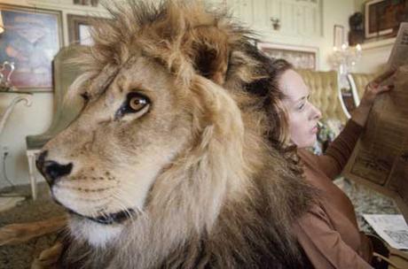 La actriz Tippi Hedren: Entre pájaros y leones