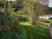 Aquel olor granja