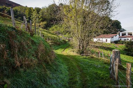 Aquel olor a granja