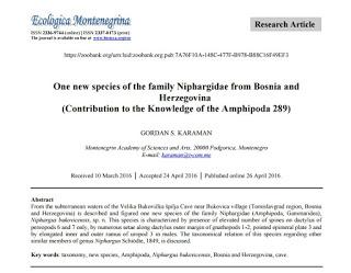 Nueva especie de anfípodo subterráneo en Bosnia y Herzegovina