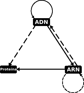 CentralDogma1970.es