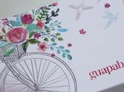 llegado primavera Guapabox
