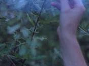 Miércoles recíproco