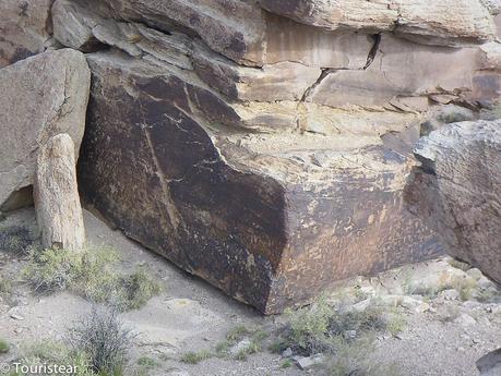 Qué ver en una visita al Petrified Forest?