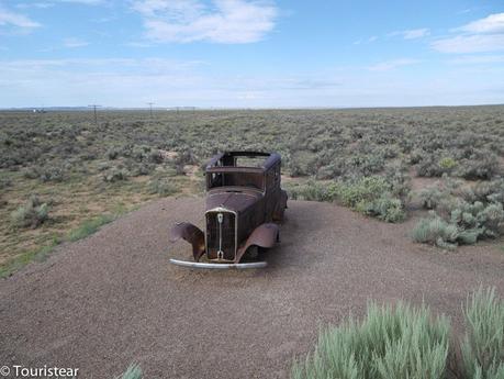 Qué ver en una visita al Petrified Forest?