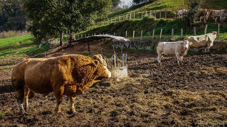 El lenguaje de la mirada