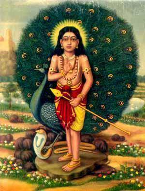The Magnificencia of Muruga