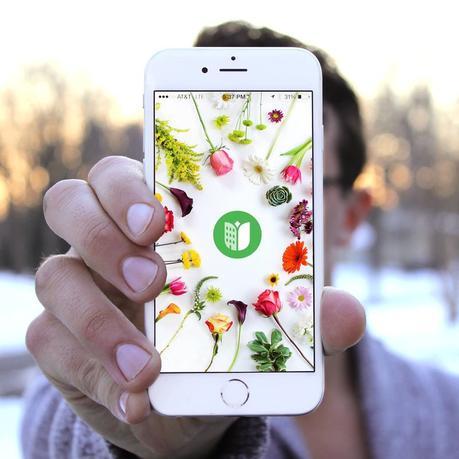 Top 25 Ideas de Startups Marzo 2016 Sustainable Flower Subscriptions