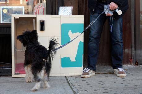 Top 25 Ideas de Startups Marzo 2016 Top 25 Ideas de Startups Marzo 2016