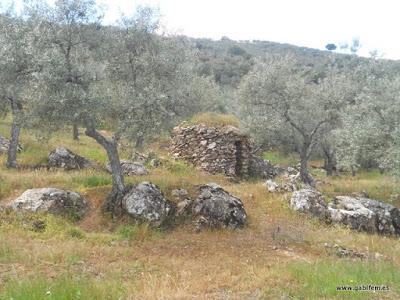 Ruta del Rey Jayón 2016