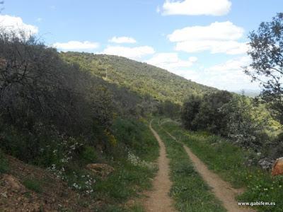 Ruta del Rey Jayón 2016