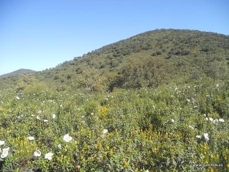 Ruta del Rey Jayón 2016