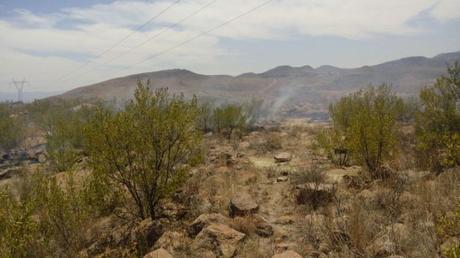 incendio Cañada Lobo