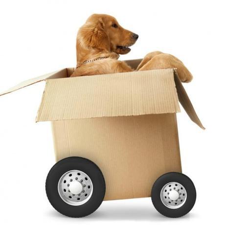 10 Consejos para la mudanza perfecta