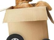 Consejos para mudanza perfecta