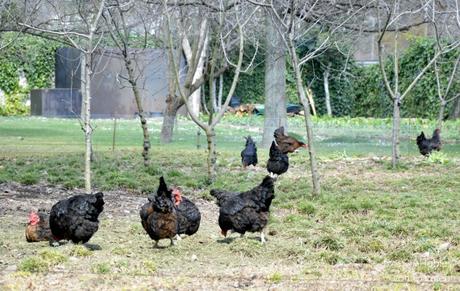Restaurante Les Cols, Cocina del Territorio y del Paisaje