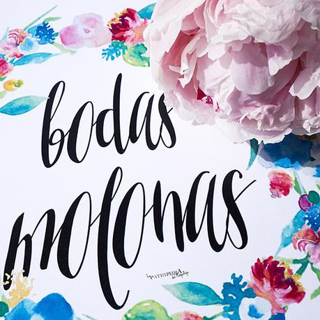 Consejos para novias novatas