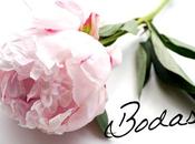 Nueva sección; BODAS