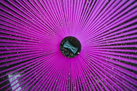 Novia de color, flamencos y mucha originalidad ¿te atreves?