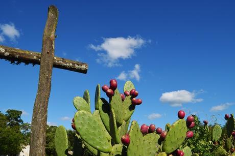 Por los pagos de Areco