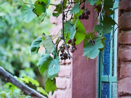 Por los pagos de Areco