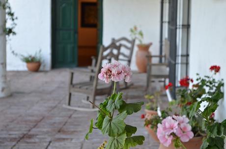 Por los pagos de Areco
